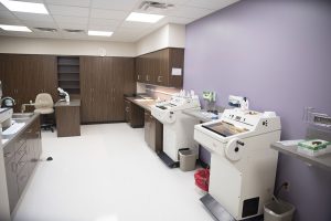 CentraCare Health Plaza - Rheumatology